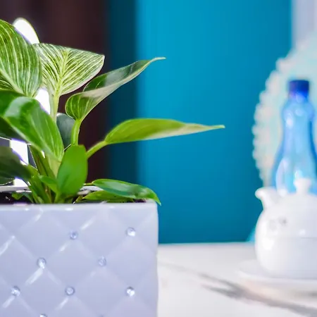 Kashmir Отель типа 