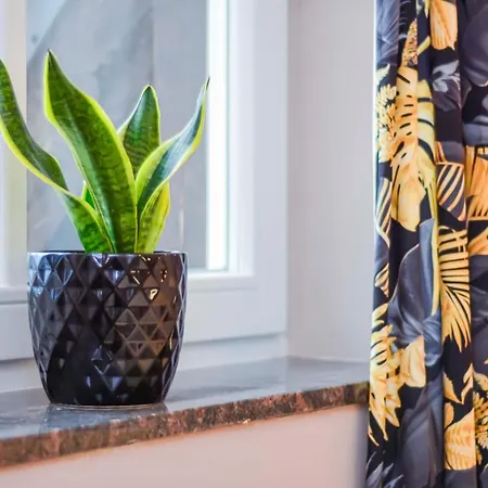 ベッド・アンド・ブレックファスト Kashmir ミエルノ