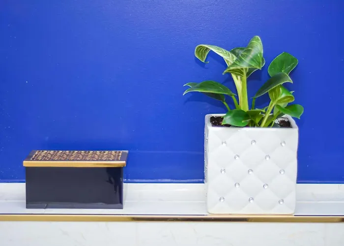 Bed and breakfast Kashmir