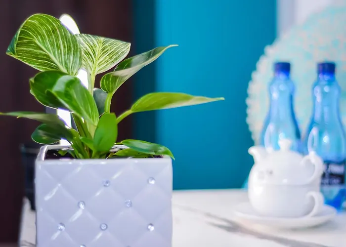 Kashmir Bed and breakfast Mielno (Koszalin)