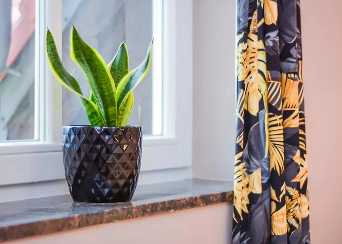 Bed and breakfast Kashmir Mielno (Koszalin)